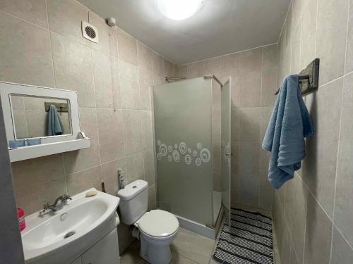 a bathroom with a shower and a toilet and a sink at Under Milkwood in Witsand