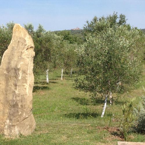 a large rock in a field with trees at Wonderfull counrty villa, views on sea & Capalbio in Pescia Fiorentina