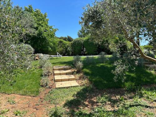 a garden with a path with trees and grass at Wonderfull counrty villa, views on sea & Capalbio in Pescia Fiorentina