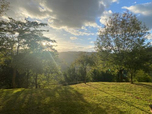 a view of a field of grass with the sun shining at I Pesci De Boschi in Borgo Priolo