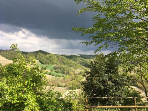 a view of a valley with trees in the foreground at I Pesci De Boschi in Borgo Priolo