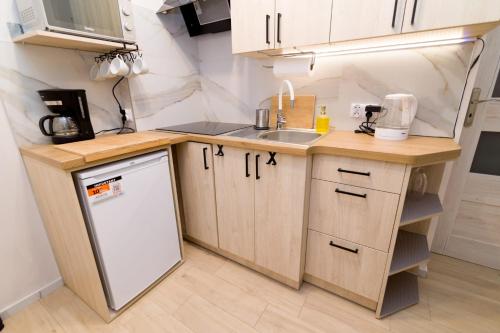 a small kitchen with a sink and a dishwasher at Storczyk in Duszniki Zdrój