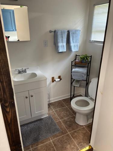 a bathroom with a white sink and a toilet at Harmons Landing in Hawthorne