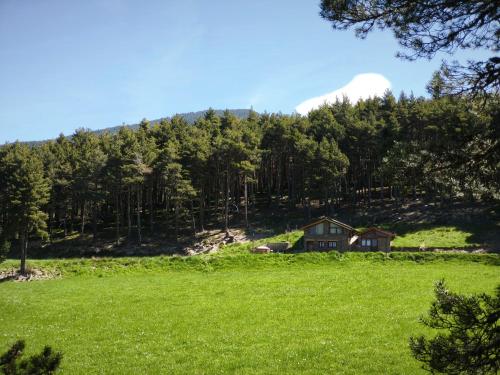 a house on a hill in a green field at Borda Cucut-HUT4-08181 in La Massana