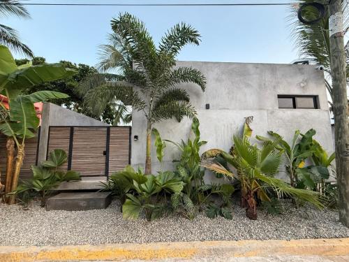 Brisas de ZicatelaにあるArrecife Roomsの塀とヤシの木が目の前に広がる家