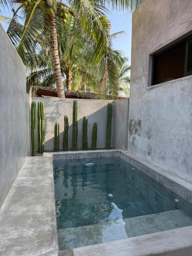 Brisas de ZicatelaにあるArrecife Roomsの家の脇のスイミングプール