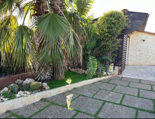 Jardín al aire libre en Una Civetta al Mare
