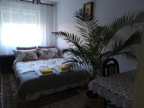 ein Schlafzimmer mit einem Bett und eine Pflanze neben einem Fenster in der Unterkunft Casa Cătălina in Silvaşu de Jos