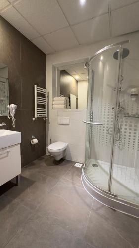 a bathroom with a shower and a toilet and a sink at Heights Accommodation Old Center in Bucharest