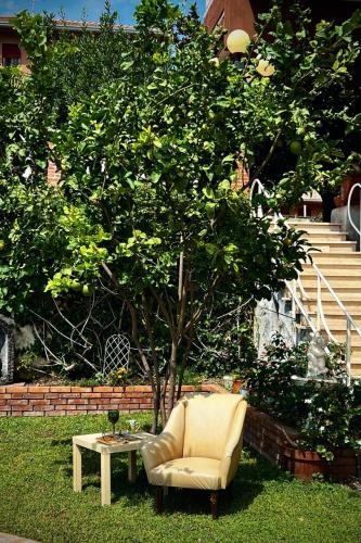 Taman di luar Domus Apartment in villa, swimming pool and private parking
