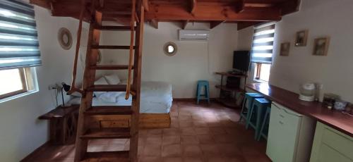 a room with a bunk bed and a ladder at חווה של דני in Bet Hillel