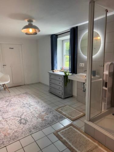 a bathroom with a shower and a sink and a mirror at Altstadtvilla in Vohburg in Vohburg an der Donau
