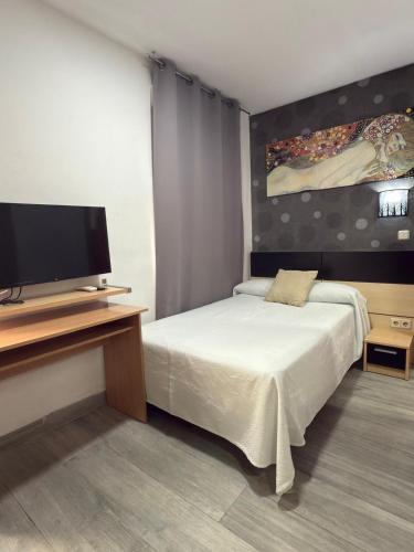 a bedroom with a bed and a flat screen tv at Hostal Falfes in Madrid