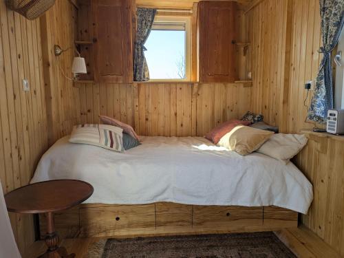 a bed in a wooden room with a window at Shepherd's hut De Skoeboet in Sint Maartensbrug