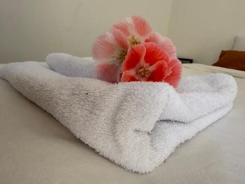 a towel with two pink flowers in it on a bed at Clivias Hostel in Salta