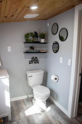 a bathroom with a white toilet in a room at Priceless on Price St Walk to downtown! in Mount Airy