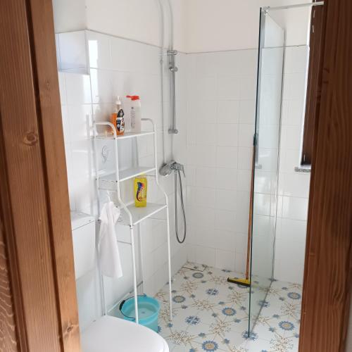 a bathroom with a shower and a toilet at Casasvedese agriturismo in Marina