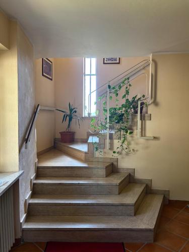 a staircase in a building with potted plants at La Vecchia Cantina in Stradella