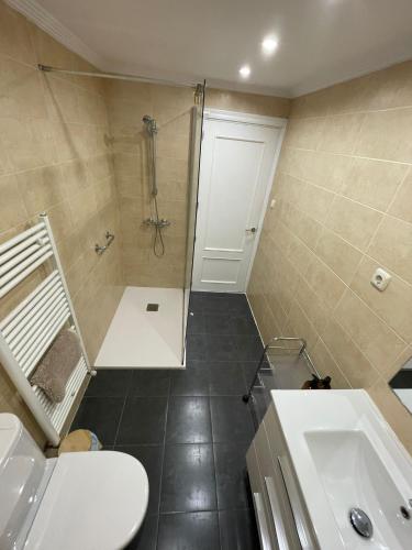 a bathroom with a shower and a toilet and a sink at La Palentina in Palencia
