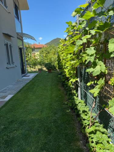 a garden with green grass next to a fence at Relaxing Home in Tignale