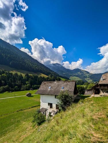 Příroda nedaleko apartmánu