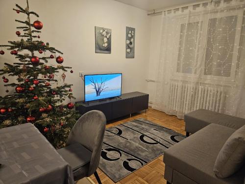 Apartman FITT