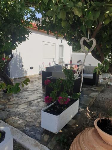Zahrada ubytování Cozy flat studio