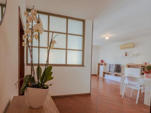 a living room with a plant in a vase on a table at La Casa di Dario - Super Luminosa - 5' dal mare in Albinia