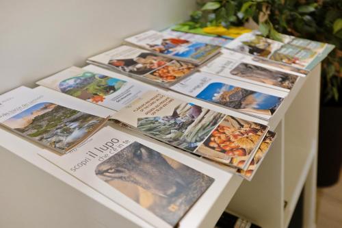 a table topped with lots of magazines and books at Lo Sarvanot in Bernezzo