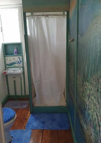 a bathroom with a shower with a toilet and a sink at Kitengela Cabin in Kajiado