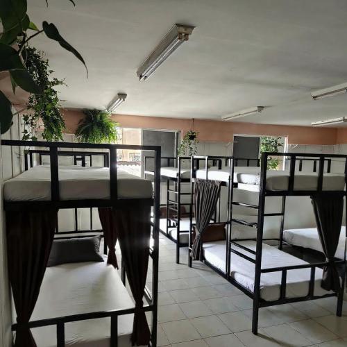 a group of bunk beds in a room at JUNGLE STATION - Hostel in Belém