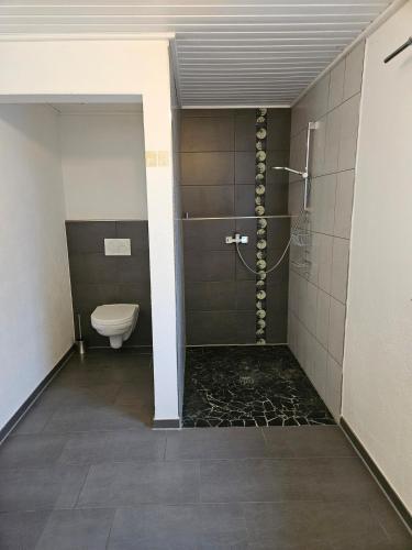 a bathroom with a shower and a toilet at 1-Zimmer Apartment in Oberopfingen