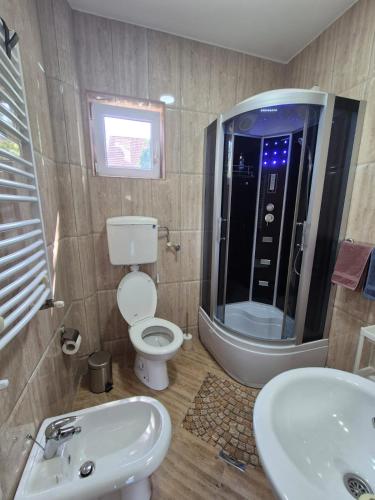 a bathroom with a toilet and a sink and a shower at Rio Apartmani Ub 2 in Ub