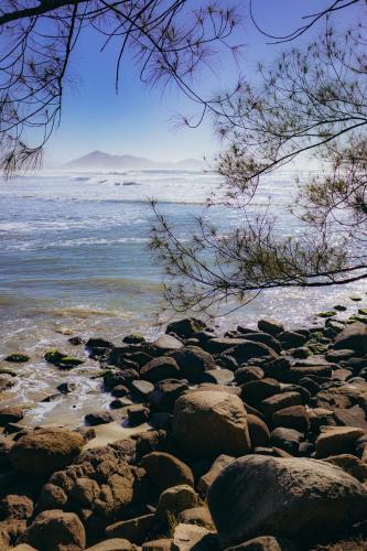a beach with rocks and the water and trees at Austral Suítes à Beira-Mar in Imbituba