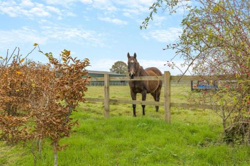 a horse standing in a field behind a fence at Grange Farm House in Hainford