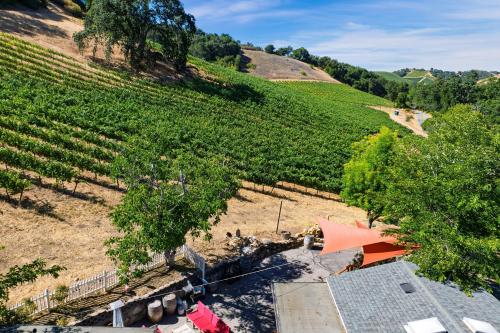 an overhead view of a vineyard with trees and a building at Luxury Wine Country Haven Vineyard Views Near Top Wineries Adelaida Farmhouse in Paso Robles