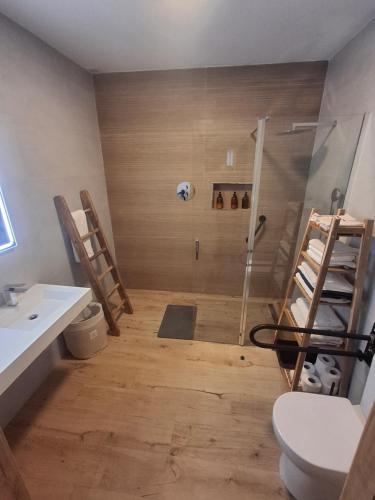 Un baño con ducha, inodoro y lavabo. en La casa de Teresa, en Santiago de Compostela