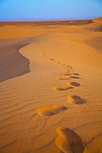 Two and Three Bedroom at GoBajac