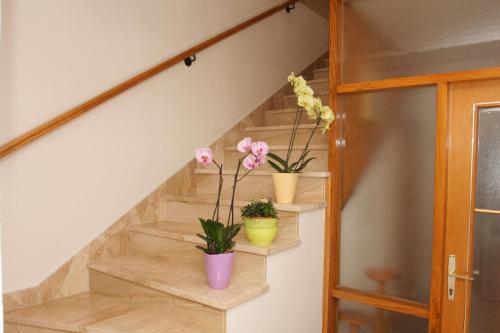 a staircase with three potted plants on the stairs at Apartment Topic in Baška Voda