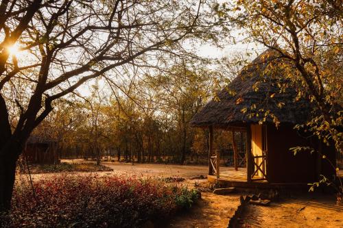 a small hut with a thatched roof in a forest at Angalia Tented Camp in Mikumi