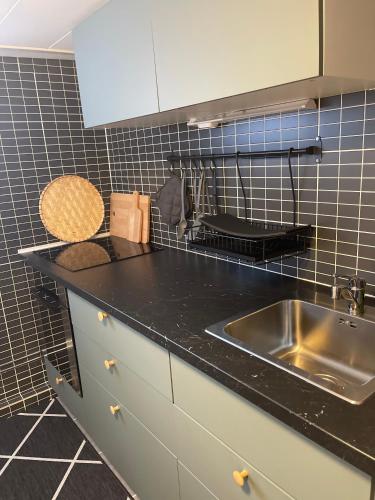eine Küche mit Spüle und schwarzer Arbeitsplatte in der Unterkunft Harmonie in Landskrona