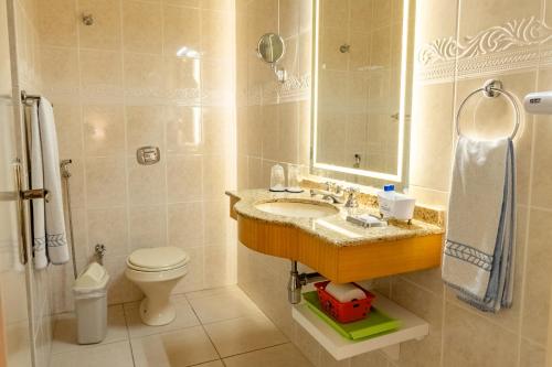 a bathroom with a sink and a toilet at Hotel Pousada da Neve in Nova Petrópolis
