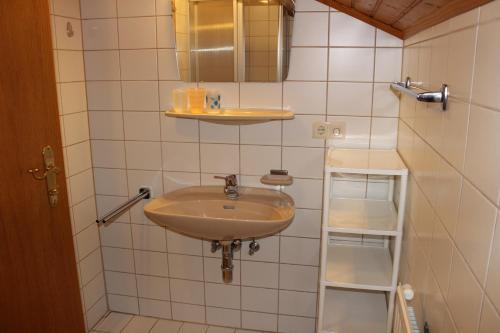 ein Bad mit einem Waschbecken und einem Spiegel in der Unterkunft Landhaus Stocker in Pruggern