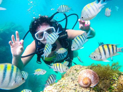 Hosté ubytování Apartamento Maragogi - Azul da Cor do Mar com Acessibilidade