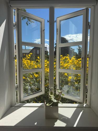 a window with a view of a field of yellow flowers at Sønderborg Kær Vestermark in Sønderborg