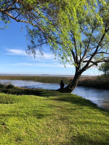 a person sitting under a tree next to a river at Isla Chaná Private Hideaway in Buenos Aires