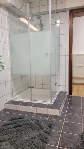 Phòng tắm tại Schöne große Ferienwohnung in Bedburg-Hau