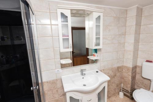 a bathroom with a sink and a shower at Colina Mărului 