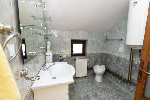 a bathroom with a sink and a toilet at Colina Mărului 