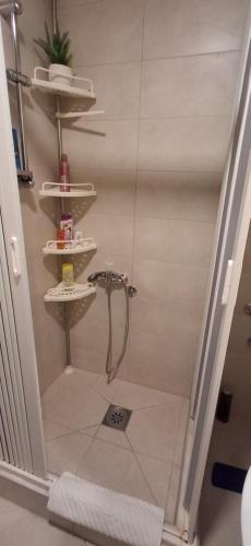 a bathroom with a shower with a sink and a shower at AIK Kula studio in Jagodina
